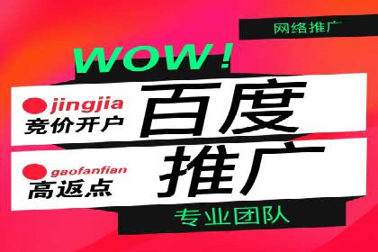 SEM服务公司助力企业增长案例